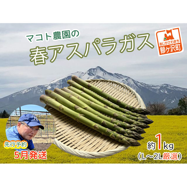アスパラガス 先行予約 春アスパラガス 約1kg L~2L 厳選 マコト農園 アスパラ グリーンアスパラ 野菜 春 旬 旬の野菜 朝どれ 産地直送 2025年 2025 先行 予約 青森 冷蔵 冷蔵配送 5月6月発送