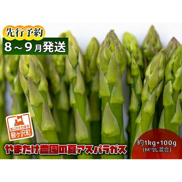 アスパラガス 先行予約 夏アスパラガス 約1kg+100g M~2L 混合 やまたけ農園 アスパラ グリーンアスパラ 野菜 夏野菜 夏 旬 旬の野菜 産地直送 2025年 2025 先行 予約 青森 冷蔵 冷蔵配送 7月~9月発送