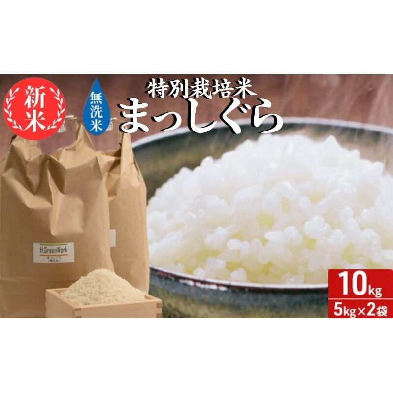 新米 令和6年産 まっしぐら 無洗米 10kg (5kg×2袋) 米 白米 こめ お米 おこめ コメ ご飯 ごはん 令和6年 特別栽培米 H.GREENWORK 青森 青森県 鯵ヶ沢町