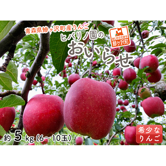 りんご 青森 おいらせ リンゴ 約 5kg (6~10玉) 青森県 鰺ヶ沢町産 ヒバリノ園 フルーツ 果物 果物類 白神山地 林檎 ※オンライン決済のみ