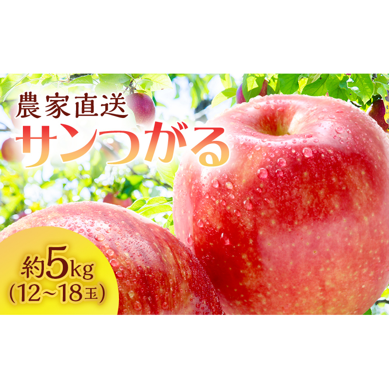 【クール便でお届け】りんご 青森 サンつがる 約 5kg (12~18玉) リンゴ サイキチ農園 青森県 鰺ヶ沢町産 フルーツ 果物 贈答用 贈答 ギフト 白神山地 果物類 林檎