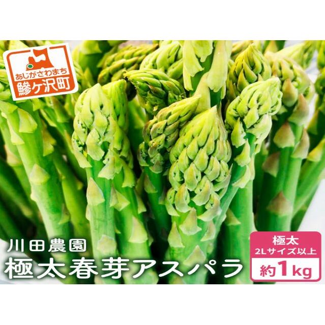 先行予約 2026年 岩木山高原 超極太 アスパラガス 約1kg 2L以上 5月6月発送 アスパラ 野菜 旬の野菜 産地直送 季節の野菜 春野菜 青森 青森県 鰺ヶ沢町