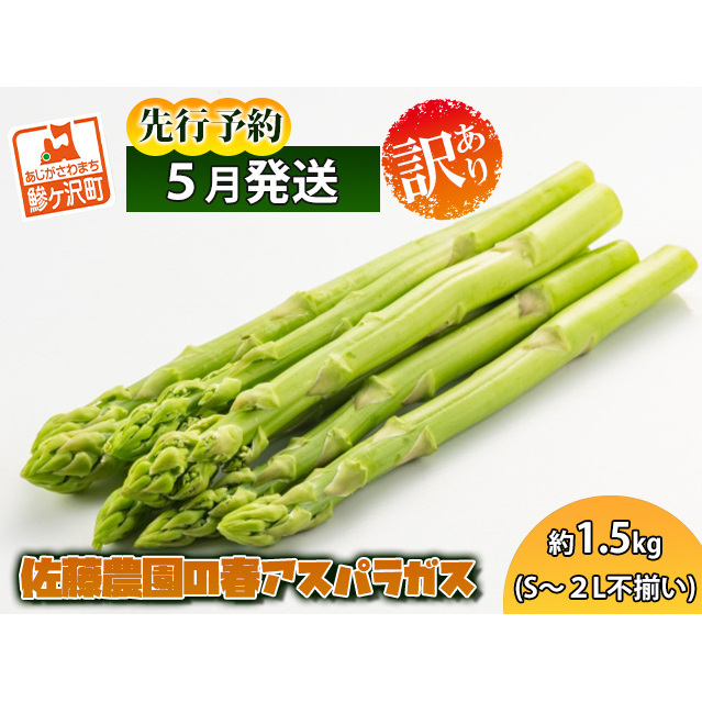 【希少！！】 先行予約 アスパラガス 春アスパラガス 訳あり S～2L 約1.5kg ドッグフード
