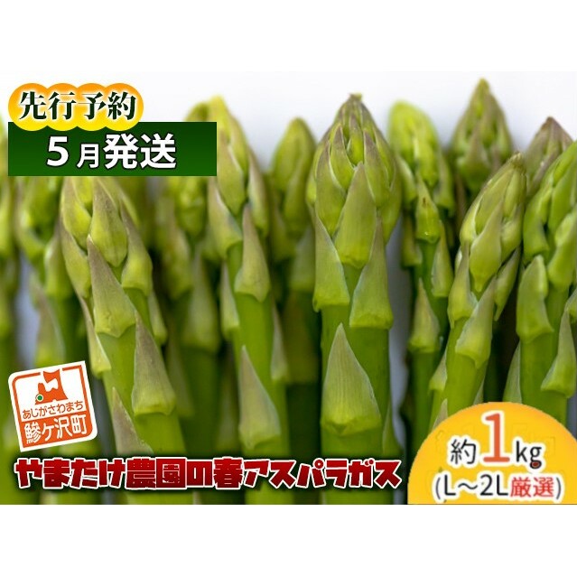 アスパラガス 先行予約 春アスパラガス 約1kg L~2L 厳選 やまたけ農園 アスパラ グリーンアスパラ 野菜 春野菜 春 旬 旬の野菜 朝どれ 産地直送 2025年 2025 先行 予約 青森 冷蔵 冷蔵配送 5月6月発送