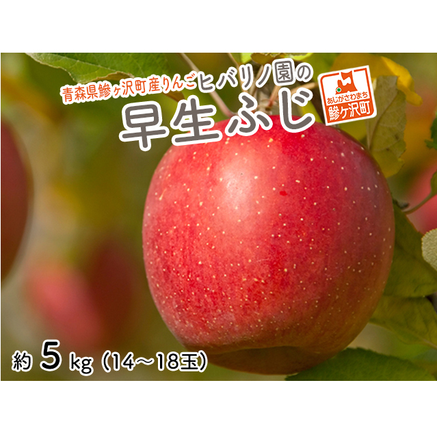 りんご 青森 早生ふじ 涼香の季節 リンゴ 約 5kg (14~18玉) 青森県 鰺ヶ沢町産 ヒバリノ園 フルーツ 果物 白神山地 林檎 ※オンライン決済のみ