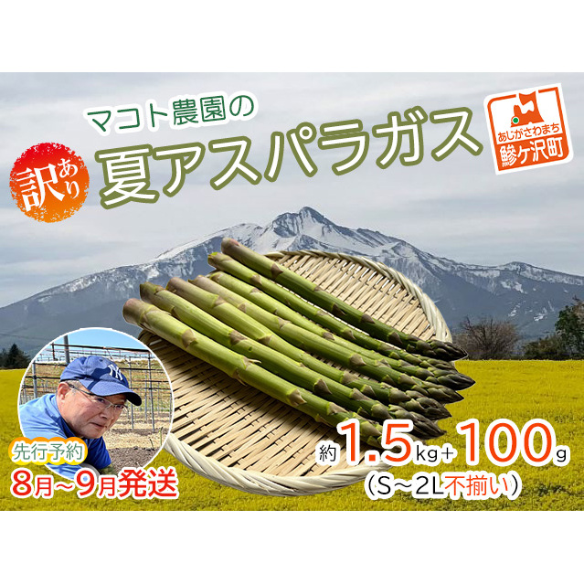アスパラガス 先行予約 夏アスパラガス 約1.5kg+100g S～2L 訳あり 不揃い マコト農園 規格外 アスパラ グリーンアスパラ 野菜 旬 旬の野菜 産地直送 2025年 2025 予約 冷蔵配送 8月～9月発送