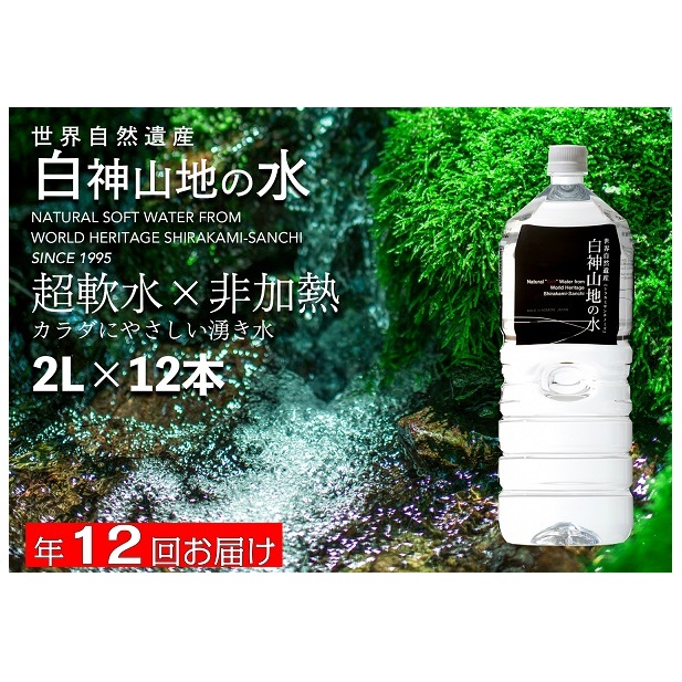 年12回お届け！！ 白神山地の水 2L×12本 定期便 ナチュラルウォーター 飲料水 軟水 超軟水 非加熱 弱酸性 湧水 湧き水 水 お水 ウォーター ペットボトル 青森県 鰺ヶ沢町 国産