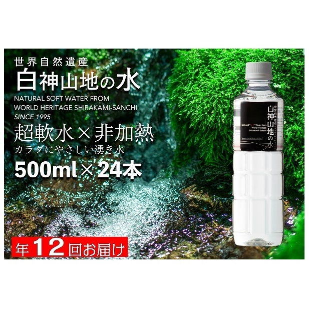 年12回お届け!! 白神山地の水 500ml×24本 定期便 ナチュラルウォーター 飲料水 軟水 超軟水 非加熱 弱酸性 湧水 湧き水 水 ウォーター ペットボトル 青森県 鰺ヶ沢町 国産 飲料類 ミネラルウォーター お水 12ヶ月 1年