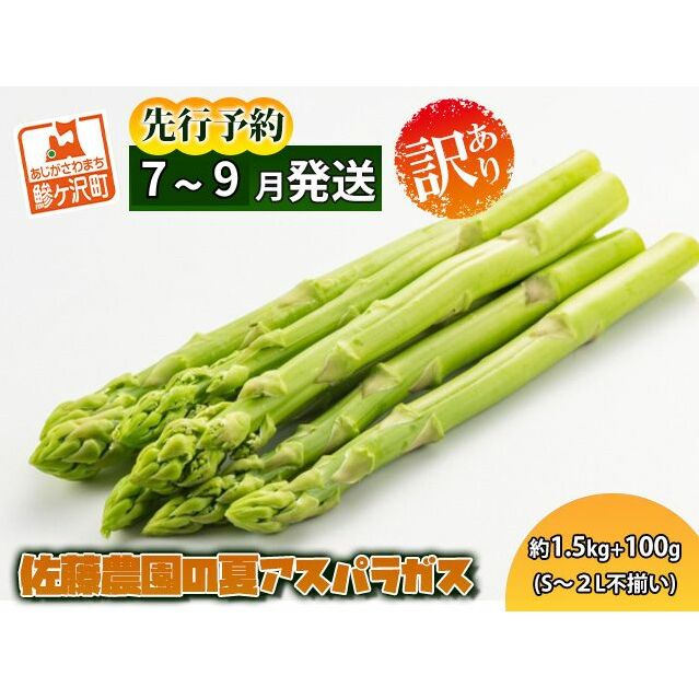アスパラガス 先行予約 夏アスパラガス 約1.5kg+100g S~2L 訳あり 不揃い 佐藤農園 規格外 アスパラ グリーンアスパラ 野菜 夏野菜 夏 旬 産地直送 高評価 2025年 2025 予約 青森 冷蔵配送 7月~9月発送