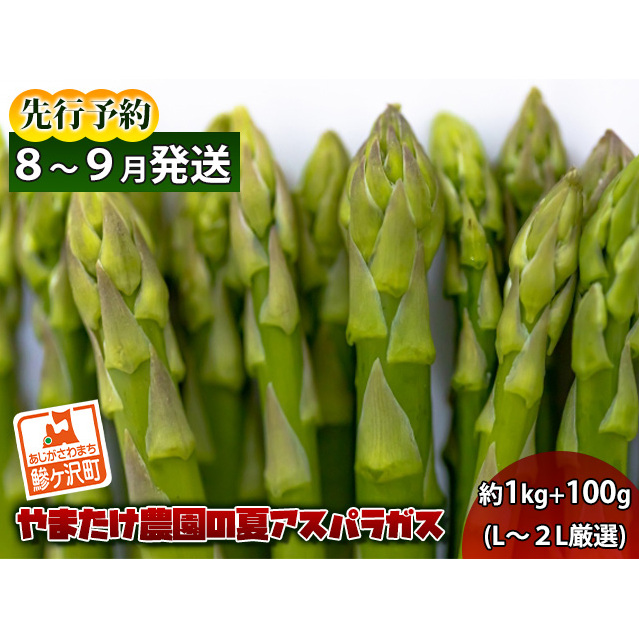 アスパラガス 先行予約 夏アスパラガス 約1kg+100g L~2L 厳選 やまたけ農園 アスパラ グリーンアスパラ 野菜 夏野菜 夏 旬 旬の野菜 産地直送 2025年 2025 先行 予約 青森 冷蔵 冷蔵配送 7月~9月発送
