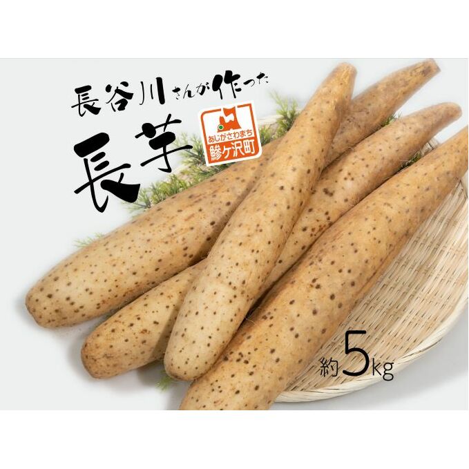長谷川さんが作った長芋(約5kg) 野菜 根菜