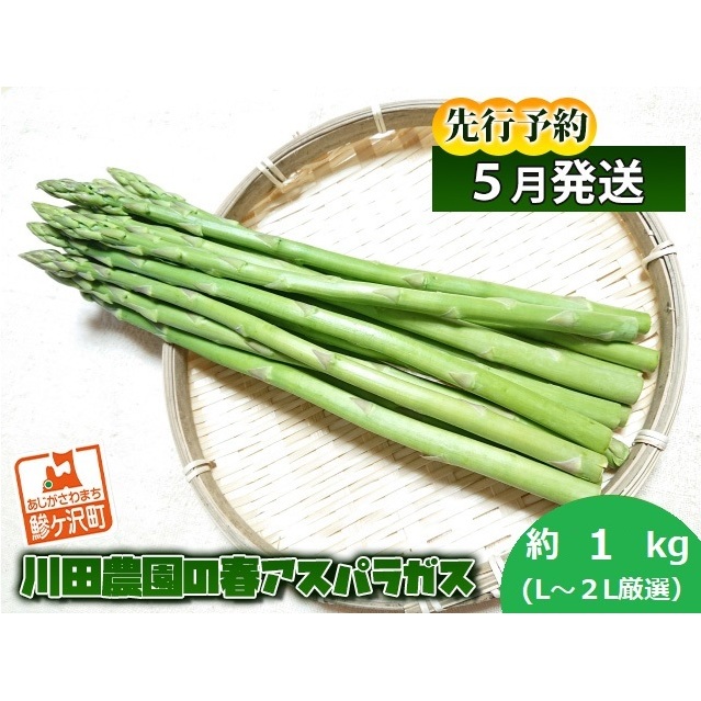 先行予約 川田農園 アスパラガス 約1kg L~2L 厳選 5月6月発送 アスパラ 野菜 旬の野菜 産地直送 季節の野菜 春野菜 青森 青森県 鰺ヶ沢町