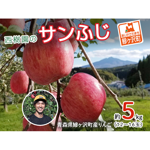 りんご 青森 サンふじ リンゴ 約 5kg (12～16玉) 青森県 鰺ヶ沢町産 西樹園 フルーツ 果物 果物類 白神山地 林檎 サンフジ ふじ
