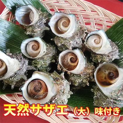 天然 サザエ 味付き 冷凍 約1kg 大8~9個入り 青森県西海岸産 貝 貝類 海鮮 海鮮セット 簡単調理 レンジ簡単調理 温めるだけ おかず おつまみ つまみ お酒のつまみ 酒のつまみ 青森 青森県 鰺ヶ沢町