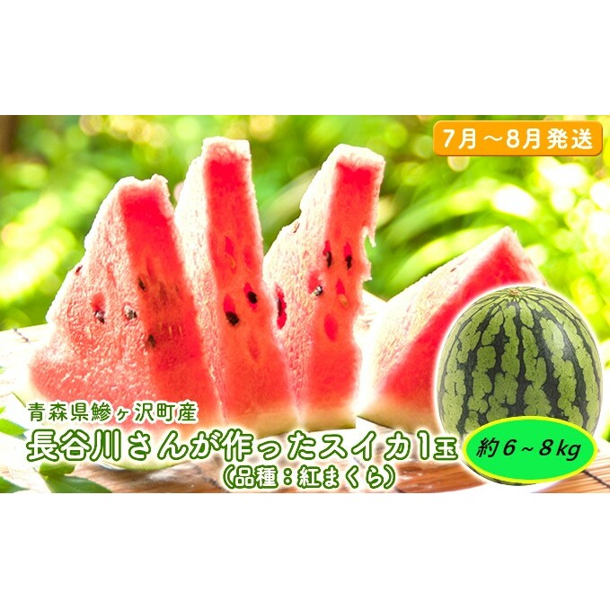 【先行予約2025年産】長谷川さんが作ったスイカ 1玉 約6～8kg（品種：紅まくら）7月～8月発送　青森県鰺ヶ沢町産 果物類 7～8kg 