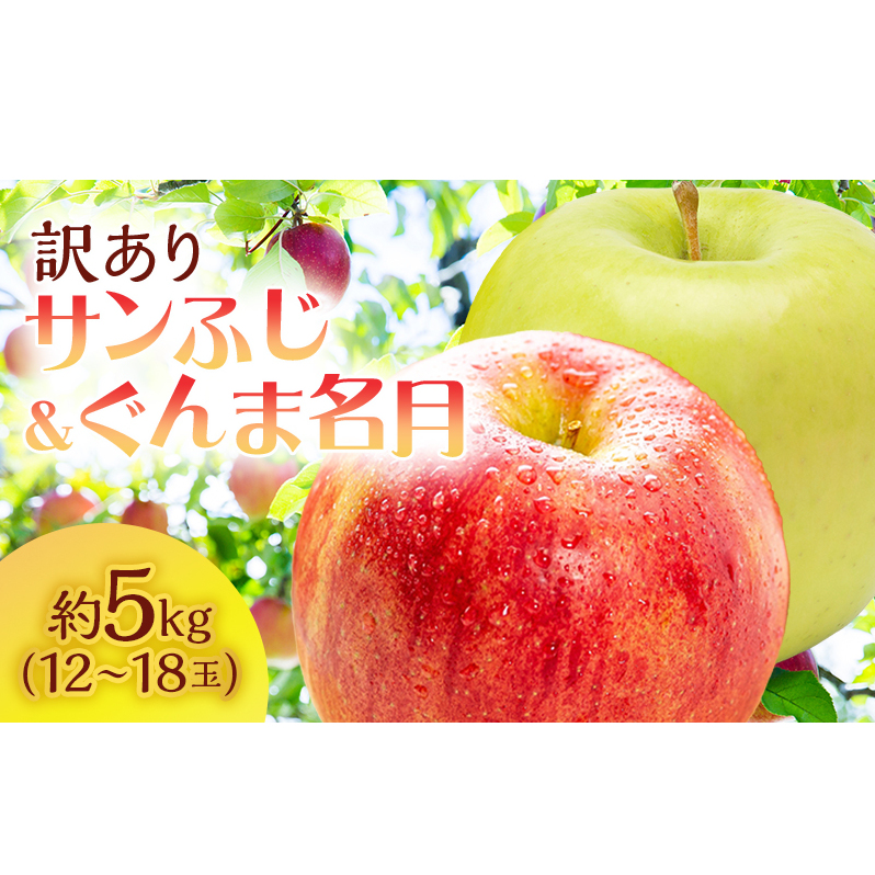 【訳あり】サイキチ農園のサンふじ・ぐんま名月セット 約5kg(12~18玉) 青森県鰺ヶ沢町産りんご 果物 フルーツ 果汁たっぷり りんご食べ比べ