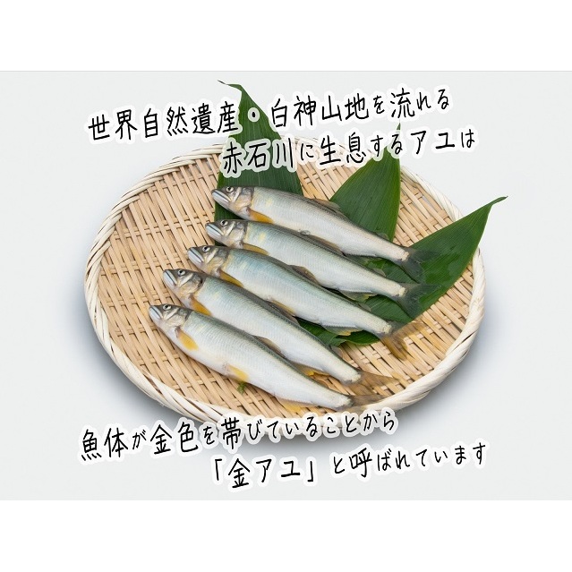 6214 三陸海岸石 ウブ  銘 是空  鮎沢占魚翁 遺愛石 桐箱付 6214 三陸海岸石 ウブ 銘 是空 鮎沢占魚翁 遺愛石 桐箱付