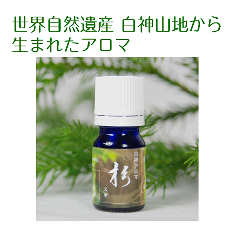 世界自然遺産白神山地から生まれたアロマ「杉」精油 2ml ディフューザー付 アロマグッズ