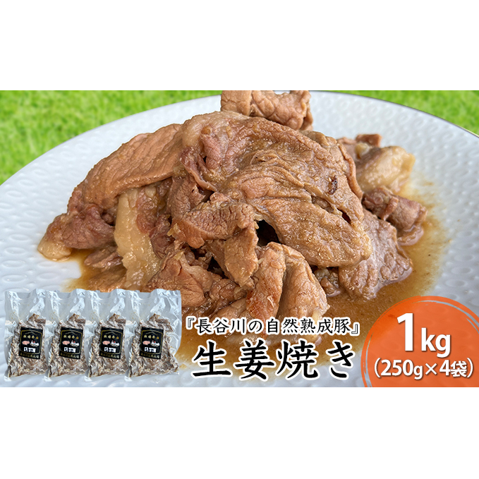 生姜焼き 1kg (250g×4袋) 長谷川の自然熟成豚 湯煎 湯せん おかず 惣菜 レトルト レトルト食品 簡単調理 豚 ぶた ブタ 豚肉 肉 お肉 キャンプ アウトドア キャンプ飯 青森 青森県 鯵ヶ沢町