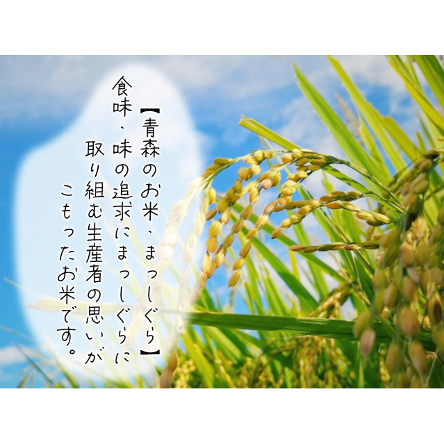 【値下げ】平成30年産　米　5kg×3袋=15kg B5-01-B かめさんのお米 なつのほか(計15kg・5kg×3袋) 国産 白米