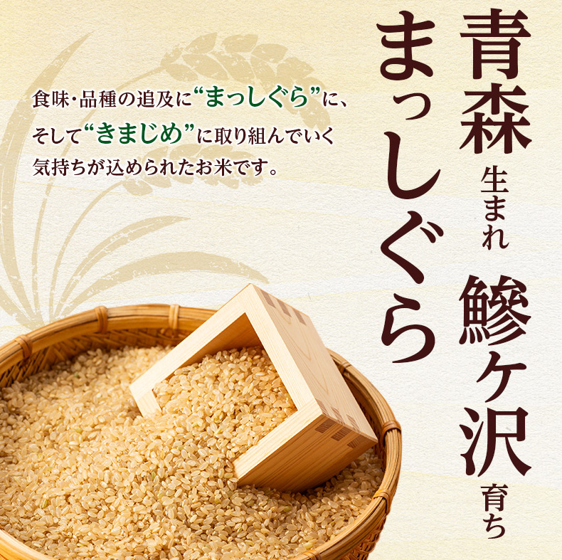 数量限定 新米 まっしぐら 玄米 30kg H.GREENWORK 令和7年産 米