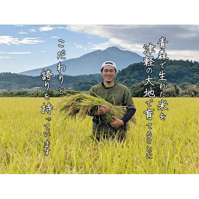 数量限定 新米 まっしぐら 玄米 30kg H.GREENWORK 令和6年産 米 お米 ご飯 30キロ 希少 限定 先行 予約 先行予約 こめ  おこめ コメ ごはん 青森 青森県 鯵ヶ沢町 2024年 2024 | 青森県鰺ヶ沢町 | JRE MALLふるさと納税