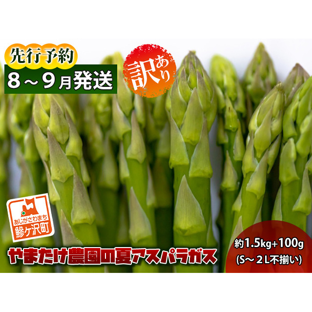 アスパラガス 先行予約 夏アスパラガス 約1.5kg+100g S~2L 訳あり 不揃い やまたけ農園 規格外 アスパラ グリーンアスパラ 野菜 夏野菜 夏 旬 産地直送 2025年 2025 予約 青森 冷蔵 冷蔵配送 7月~9月発送