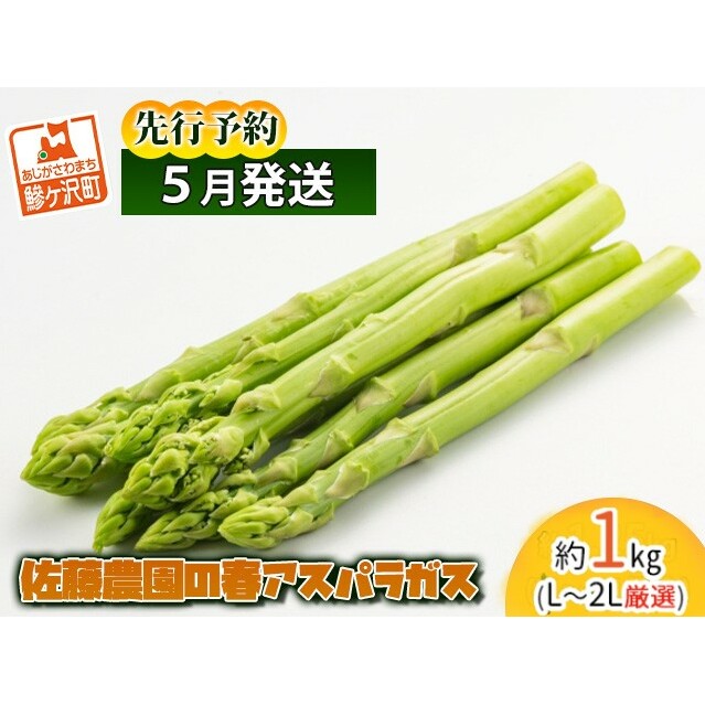 【爆買い！】 アスパラガス 先行予約 佐藤 厳選 L～2L 約1kg 春アスパラガス ドッグフード