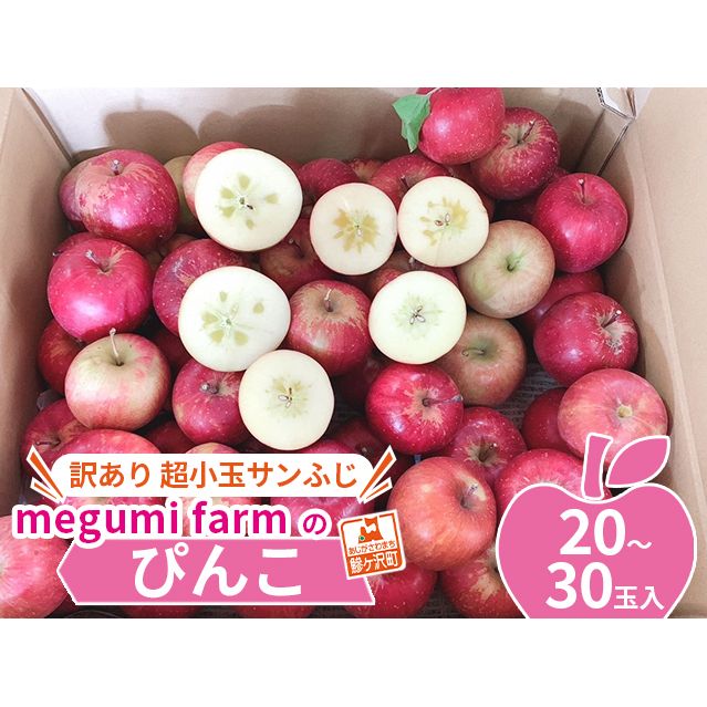 青森県鰺ヶ沢町産りんご megumi farmのぴんこ【訳あり 超小玉サンふじ】(20~30玉入) 果物類 フルーツ 産地直送 世界自然遺産りんご飴 甘口 安全 安心