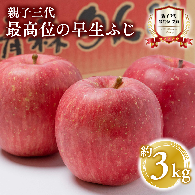 [10月発送] 親子三代最高位の早生ふじ 約3kg[全国ふじコンテスト最高賞受賞農園・平川市広船産りんご]