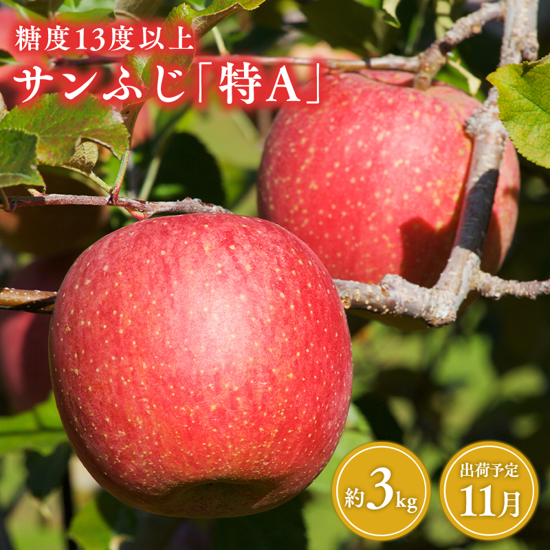 11月 サンふじりんご「特A」約3kg 糖度13度以上 【森山商店・平川市・青森りんご・11月】