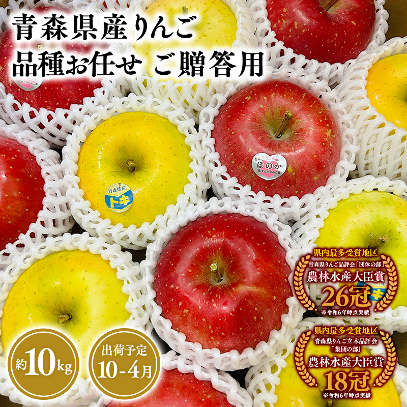 2025年産品種お任せ　贈答用　旬のりんご詰め合わせ10kg