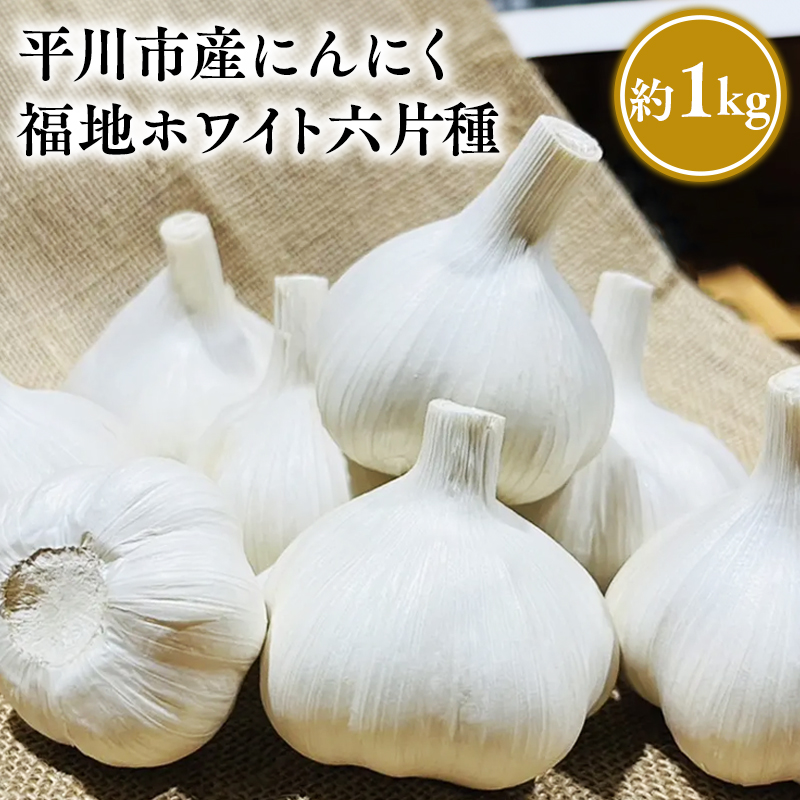 [8月〜1月発送]福地ホワイト六片種 約1kg