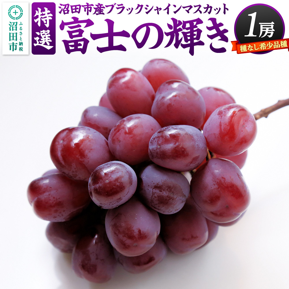 《9月下旬～11月上旬発送》沼田市産 特選 富士の輝き（ブラックシャインマスカット）1房 800g以上