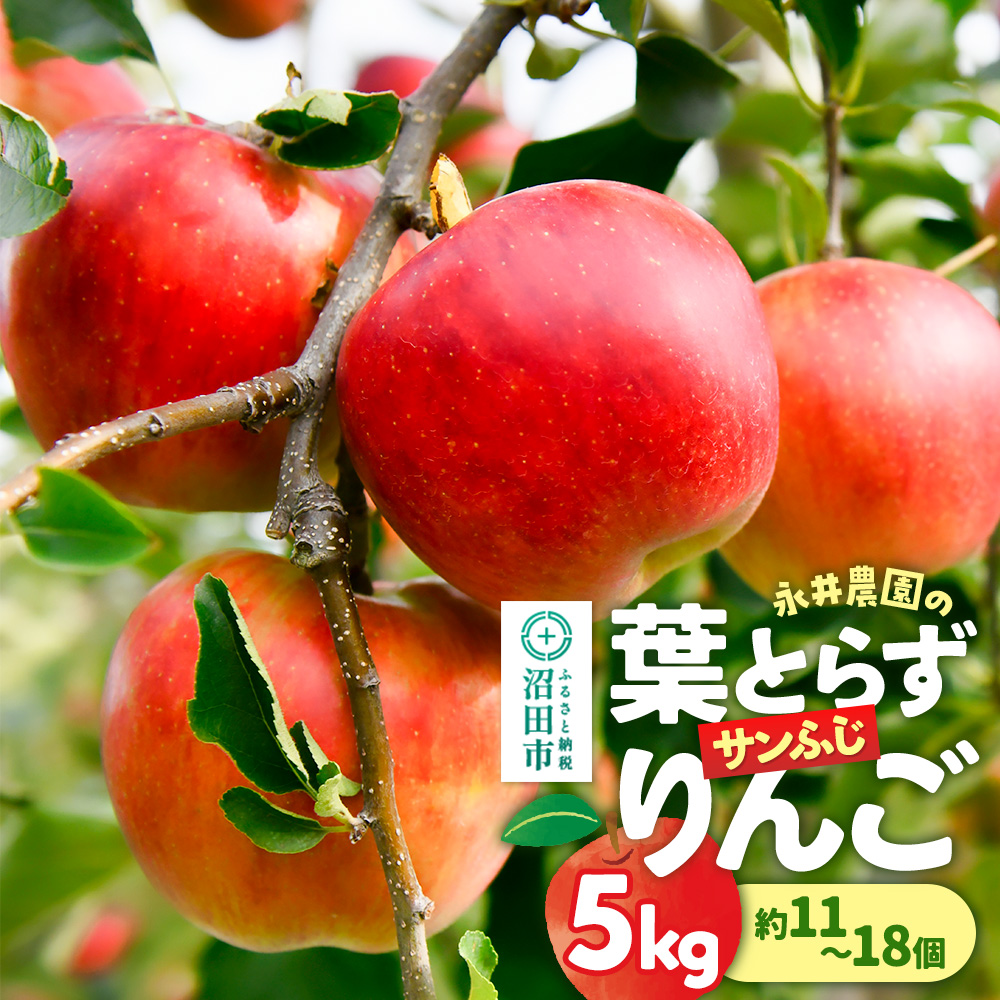《11月下旬~12月上旬発送》葉とらずサンふじりんご 5kg(約11~18個)永井農園