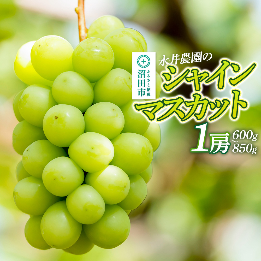 シャインマスカット 1房(600g~850g)永井農園