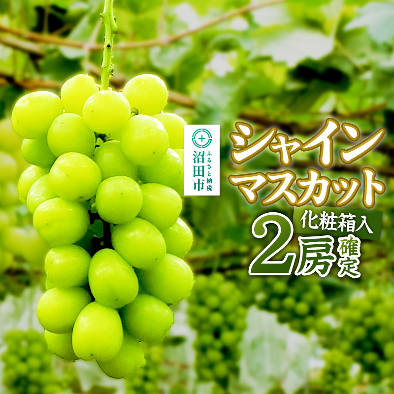《9月中旬以降発送》先行予約 果実の里 原田農園 シャインマスカット 2房（約1.4kg～1.6kg）化粧箱入り