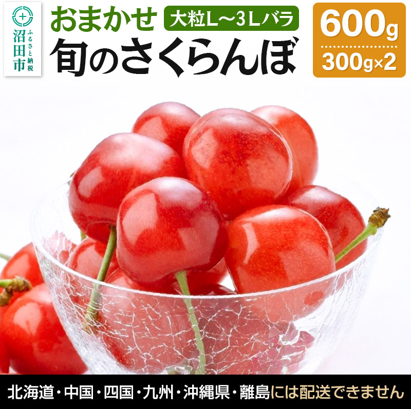 《一部地域限定発送》《6月中旬~下旬発送》おまかせ 旬のさくらんぼ 大粒L~3Lバラ詰め 600g(300g×2)