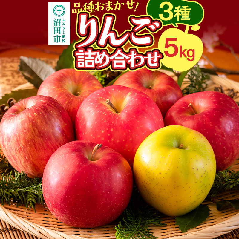 《10月中旬~11月下旬発送》品種おまかせ りんご詰め合わせ 3種 5kg 真田りんご園
