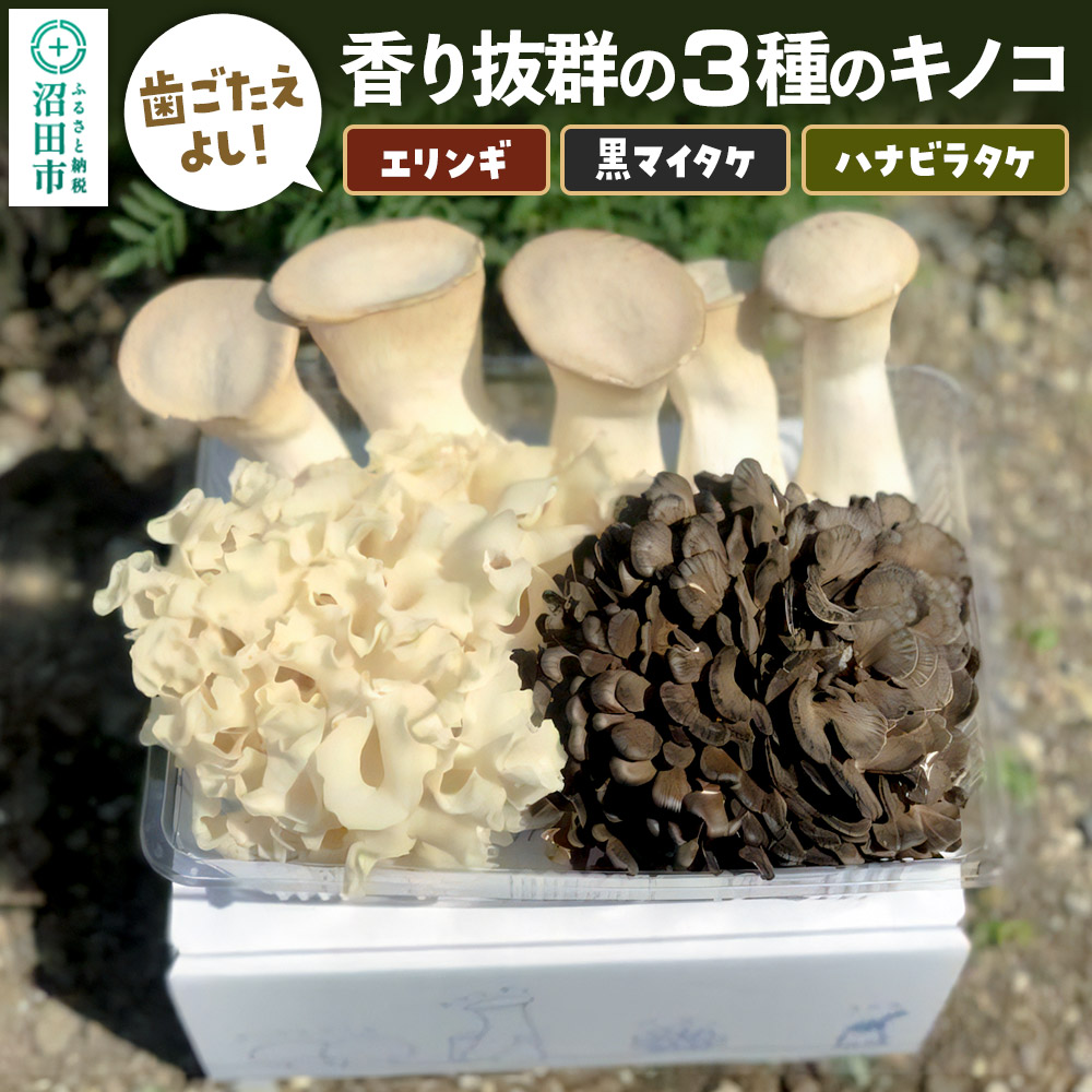 歯ごたえよし!香り抜群の3種のきのこ(エリンギ、黒舞茸、ハナビラタケ)の詰め合わせ