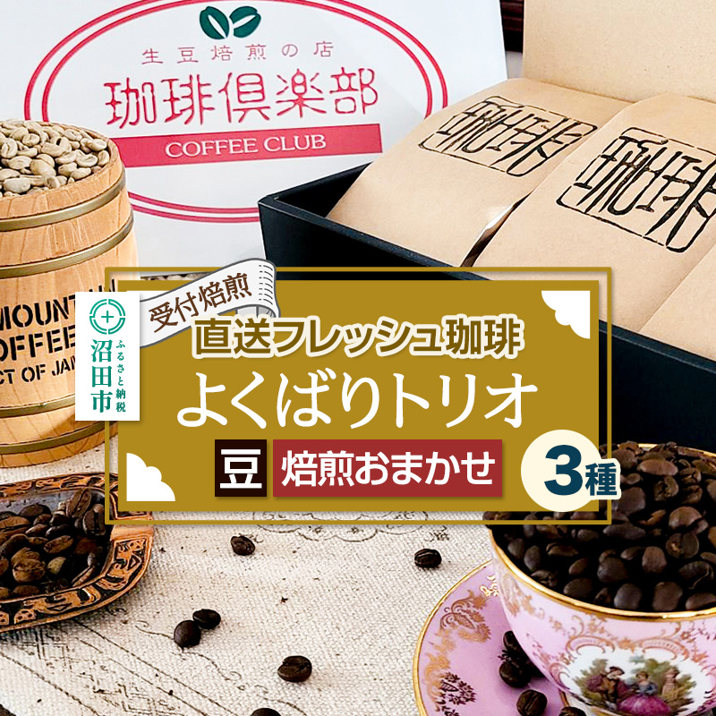 《受付焙煎》直送フレッシュ珈琲 よくばりトリオ【豆/焙煎度合いの指定はできません】各200g×3種 計600g 珈琲倶楽部 沼田店