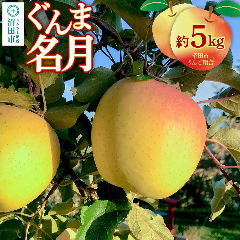 《11月中旬~12月上旬発送》沼田市りんご組合 りんご(ぐんま名月)約5kg 群馬県沼田市