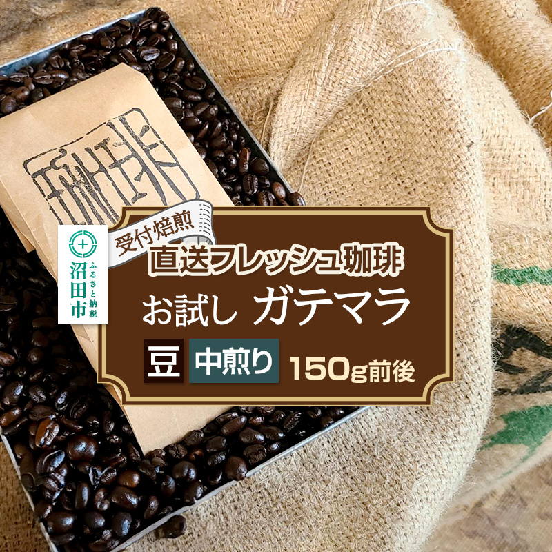 《受付焙煎》直送フレッシュ珈琲 お試し ガテマラ【豆/中煎り】約150g 珈琲倶楽部 沼田店