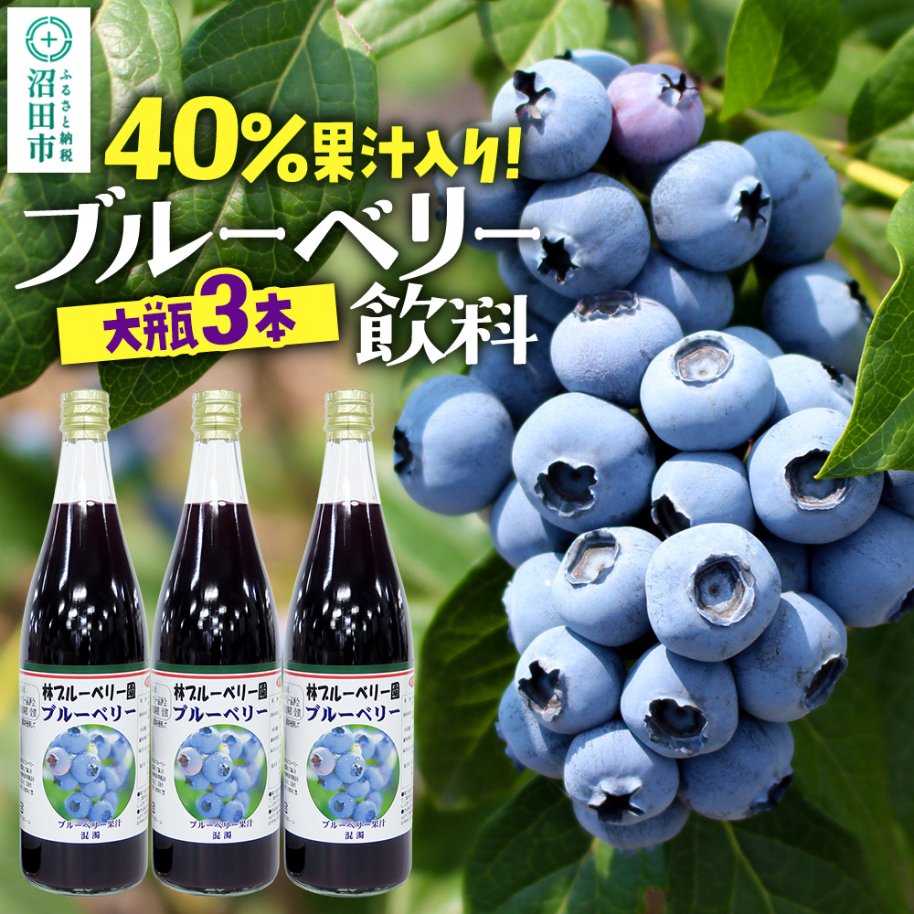 40%果汁入り ブルーベリー飲料 720ml×3本セット