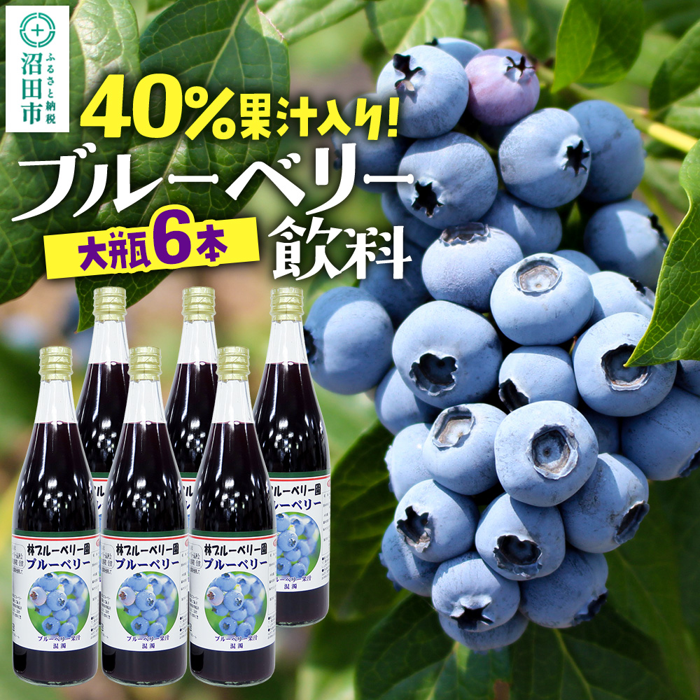 40%果汁入り ブルーベリー飲料 720ml×6本セット