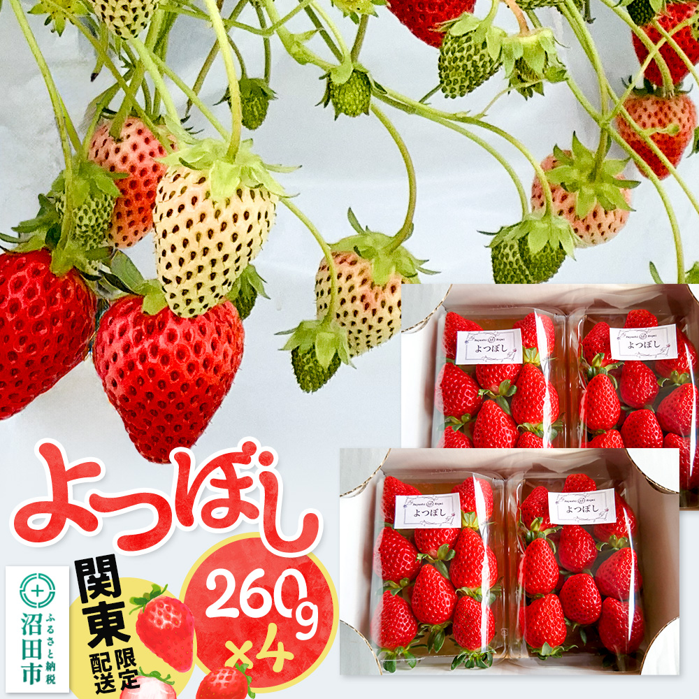 《12月上旬~3月下旬発送》関東限定配送 イチゴ よつぼし 約260gパック×4