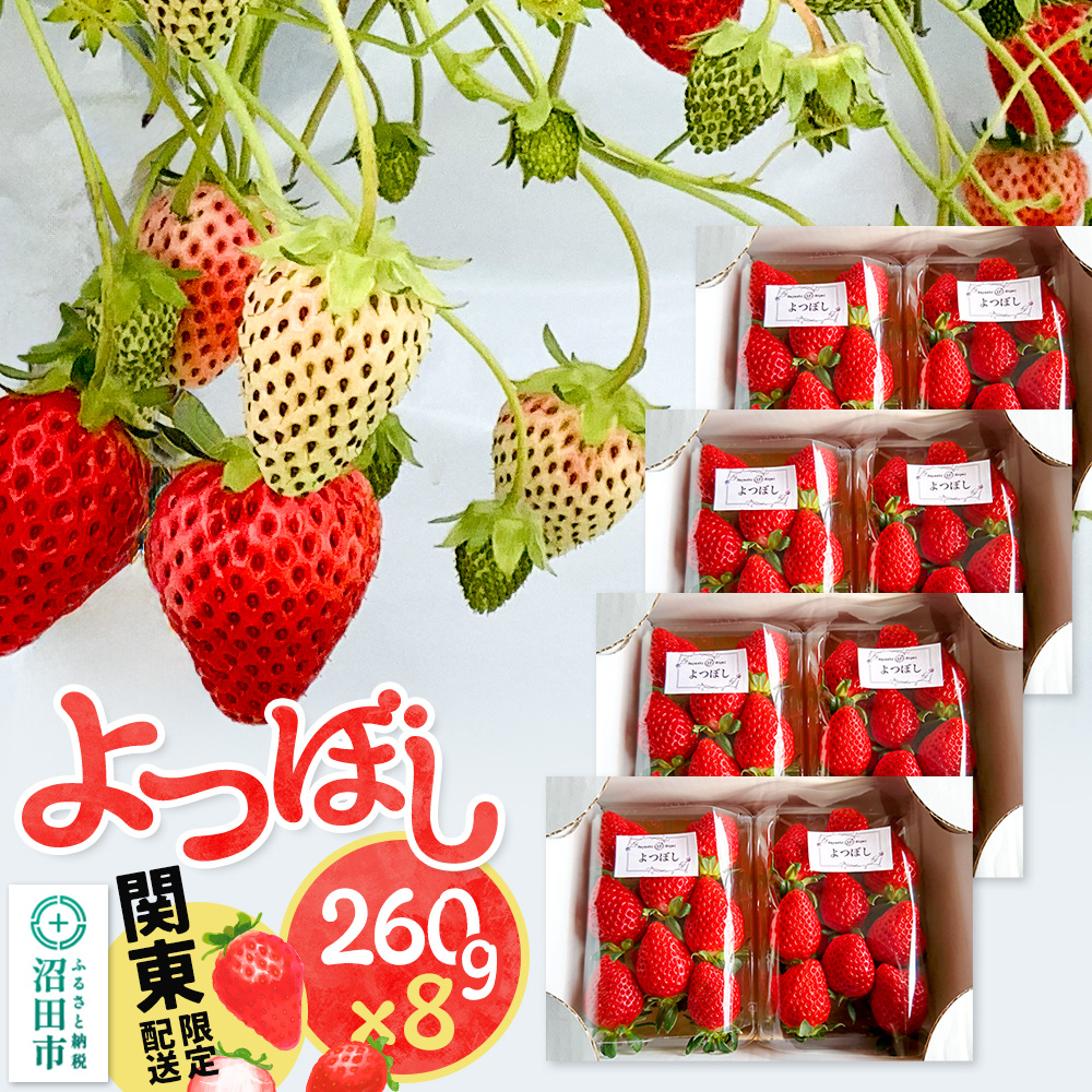 《12月上旬~3月下旬発送》関東限定配送 イチゴ よつぼし 約260gパック×8