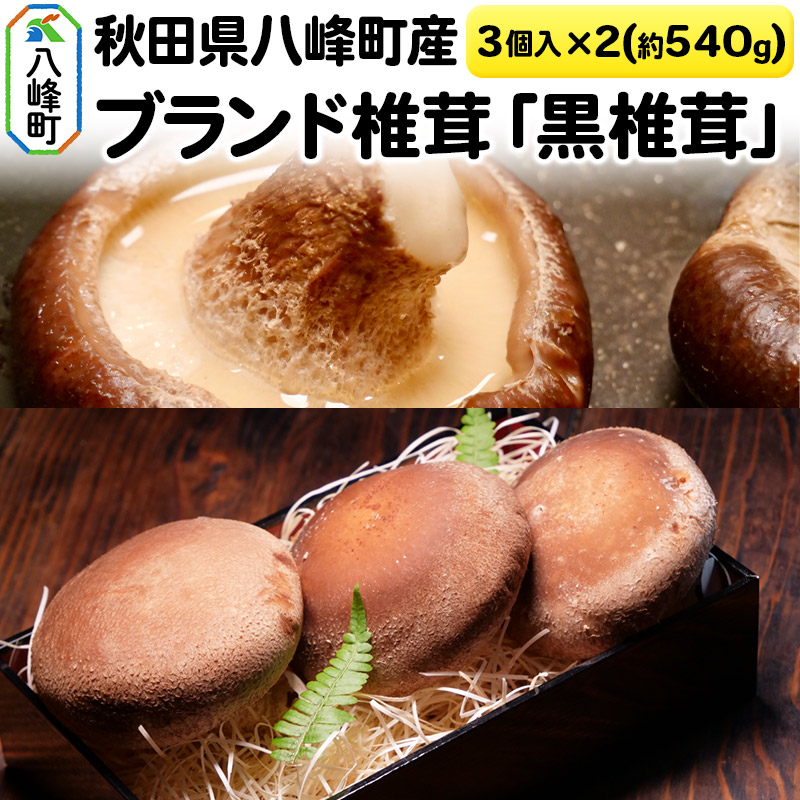 秋田県八峰町産 ブランド椎茸「黒椎茸」3個入×2パック(約540g)