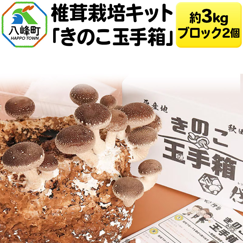 椎茸栽培キット「きのこ玉手箱」約3kg ブロック×2個