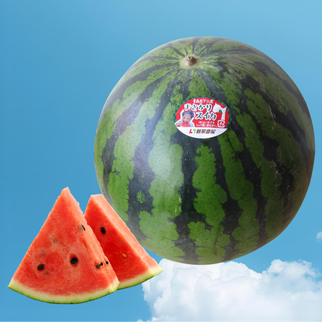 [予約商品]スイカ1玉7〜9kg(2Lサイズ以上)